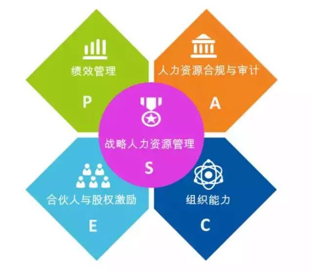 sem托管代运营_seo sem网络运营师_管托规格英文